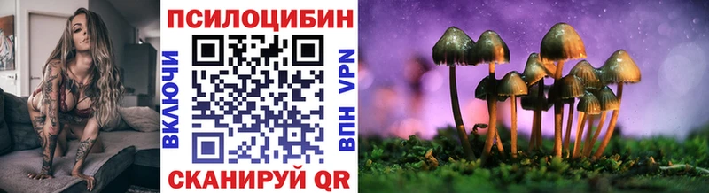 Псилоцибиновые грибы Psilocybine cubensis  закладка  Бобров 
