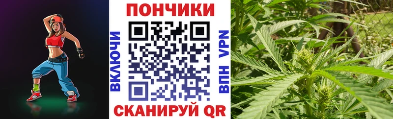 Бошки Шишки планчик  Бобров 
